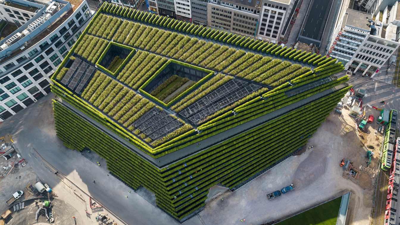 🌿 쾨 보겐 II (쾨 보겐 츠바이)